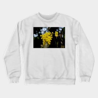 Golden Wattle Abundance Crewneck Sweatshirt